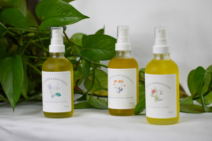 Rose + Marshmallow Root | Enchanted Botanical Nectar